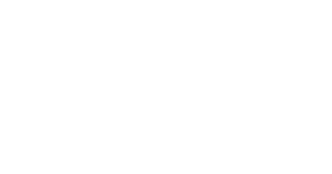 Alter Solution Srl